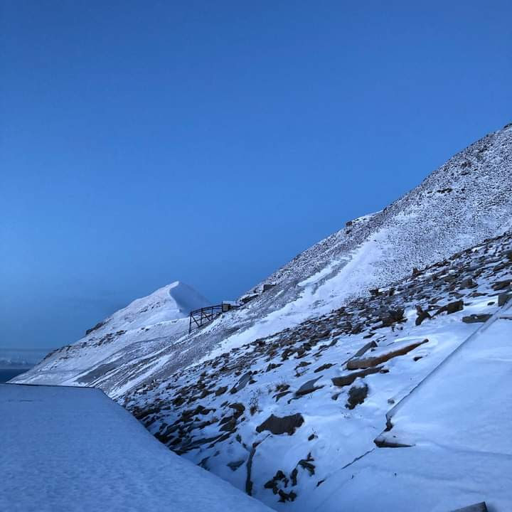 Svalbard arktisk orken bilde 1