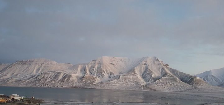 Svalbard arktisk orken featured