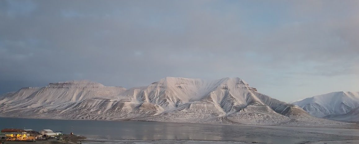 Svalbard arktisk orken featured