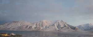 Svalbard - en arktisk ørken – illustration